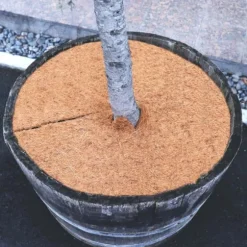3 Coconut Mulching-skivor 45 cm Kokosfibermatta Kokosfiber Växtskyddsmatta Kokosnöt
