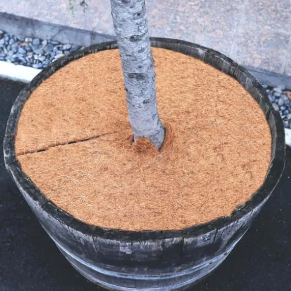 5 Coconut Mulching-skivor 45 cm Kokosfibermatta Kokosfiber Växtskyddsmatta Kokosnöt