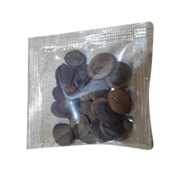 20 frön Balkong Wisteria Frö Gräsmatta Plant Frö Trädgård Wisteria Frö för utomhusgård Blå