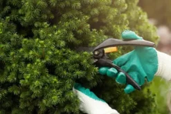 1 kg epsomsalt, grangödsel, bladgödsel, magnesium i en hink, 1 kg