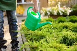 10 kg Epsomsalt, grangödsel, bladgödsel, magnesium, TOP 10 kg