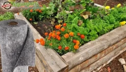 18 m² Kapillärmatta Bevattningsmatta Filtermembran Förvaringsfleece 300 g 2 m bred