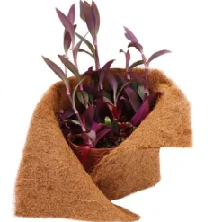 3 m Kokosfibermatta Vinterskydd Släntmatta Kokosfibermatta 800 g/m² 0,25 m bred