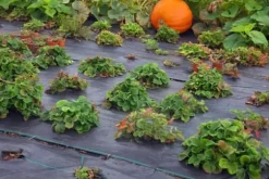 270 m² Ogräsbekämpningsmembran Ogräsfoder Mulchliner 100 g 2 m bred