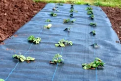 160 m² Ogräsbekämpningsmembran Ogräsfoder Mulchliner 100 g 1,65 m bred