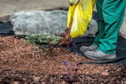 135 m² Trädgårdsfleece Ogräsbekämpningstyg Ogräsfoder Mulchtyg 150 g/m² 1,5 m bred