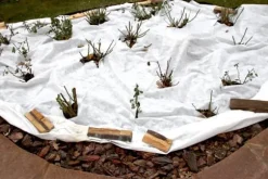 100 m² Trädgårdsfleece Ogräsbekämpningstyg Dräneringsfleece 150 g 2 m bred