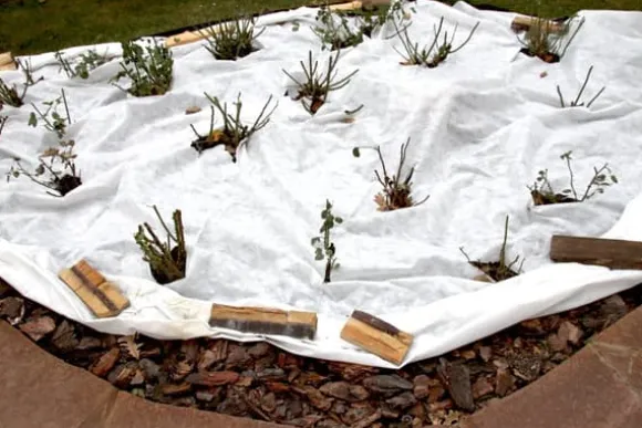 100 m² Trädgårdsfleece Ogräsbekämpningstyg Dräneringsfleece 150 g 2 m bred