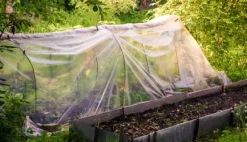 16 m Trädgårdsfoder Växthusfoder UV 5 Kallramsfoder Växthusfoder 4 m bred