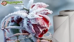 128 m² Vinterskyddsfleece Isolerande trädgårdsfleece Frostskydd 60 g