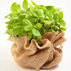 45 m x 1 m Jutetyg 105 g/m² Jutematta Trädgårdsjute Jutetyg Säckväv Juteband