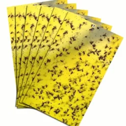 20 st 20*10 cm myggflugefällor, dubbelsidiga fruktflugefällor för inomhus- och utomhusväxter, gula