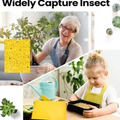 20 st 20*10 cm myggflugefällor, dubbelsidiga fruktflugefällor för inomhus- och utomhusväxter, gula