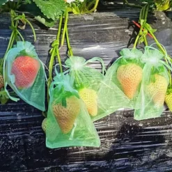 30 st 20*30 cm nätpåsar för frukt med dragsnöre, återanvändbara nätpåsar för trädgården, nätpåsar för frukttäckning, lämpliga för fruktträd, grönsake | CDON