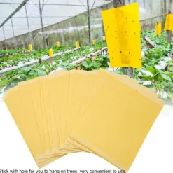 50 st dubbelsidiga mygglimbrädor fällor skadedjur klibbiga flugor insekter catcher mördare