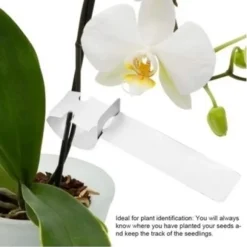 100 st Plast Växt Träd Taggar Trädgård Växt Etiketter Växthängande