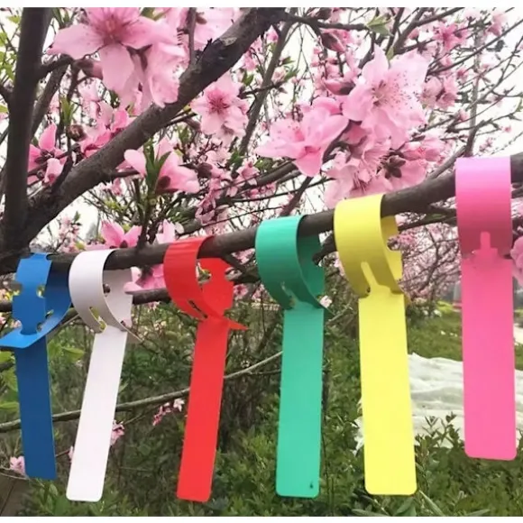 100 st Plast Växt Träd Taggar Trädgård Växt Etiketter Växthängande