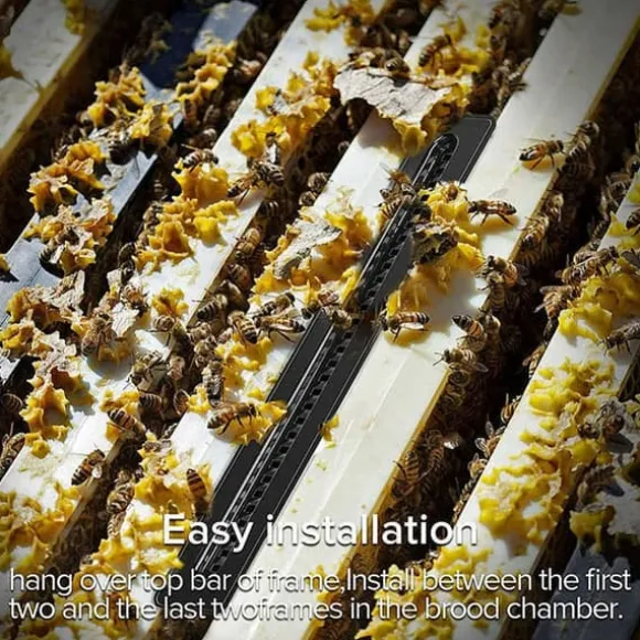 10 st skalbaggefällor svarta robusta skalbaggeoljefällor med stor kapacitet för biodling för inomhus och utomhusbruk