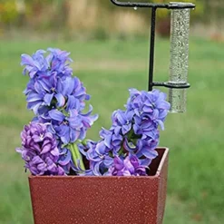 2 STK 5 tums kapacitet Regnmätare glasersättningsrör för trädgårdsgård