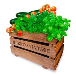 Agreen Urban Trädgård Vintage Eco Guld