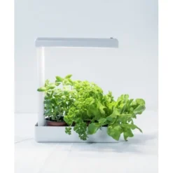 Airam Herby växtlampa, 10W/840, 650 lm