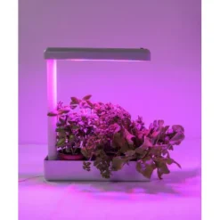 Airam Herby växtlampa, 10W/840, 650 lm