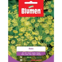 ANISFRÖ BLUMEN SEMENTI