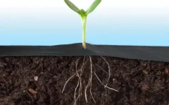 Anti rotduk - 1,6 meter x 100 meter + 100 jordpinnar