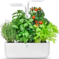 Automatisk kruka - ÄKTA - KLASSISK - Vit - 45 cm x 33 cm - 4 såddar