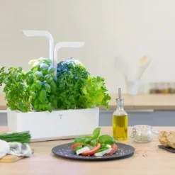 Automatisk kruka - ÄKTA - KLASSISK - Vit - 45 cm x 33 cm - 4 såddar