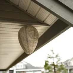 Avskräckare för Getingar - Bikupa