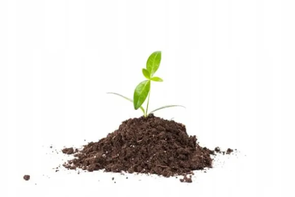 Avsurad torvjord pH 5,5-6,5 BIOVITA 80L