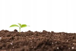 Avsurad torvjord pH 5,5-6,5 BIOVITA 80L