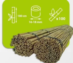 Bambupålar, bambustänger 180 cm 16/18 mm 100 st/