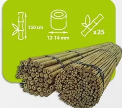 Bambupålar, bambustänger 150 cm 12/14 mm 25 st/