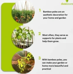 Bambupålar, bambustänger 150 cm 12/14 mm 25 st/