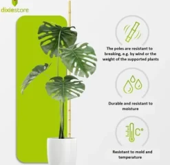 Bambupålar, bambustänger 150 cm 12/14 mm 25 st/