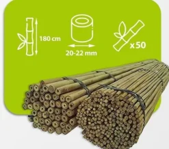 Bambupålar, bambustänger 180 cm 20/22 mm 50 st/