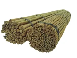 Bambupålar, bambustänger 75 cm 6/8 mm /1000 st/