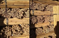 Bambupålar, bambustänger 75 cm 6/8 mm /1000 st/