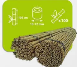 Bambupålar, bambustänger 120 cm 10/12 mm 100 st/