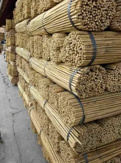 Bambupålar, bambustänger 120 cm 10/12 mm 100 st/