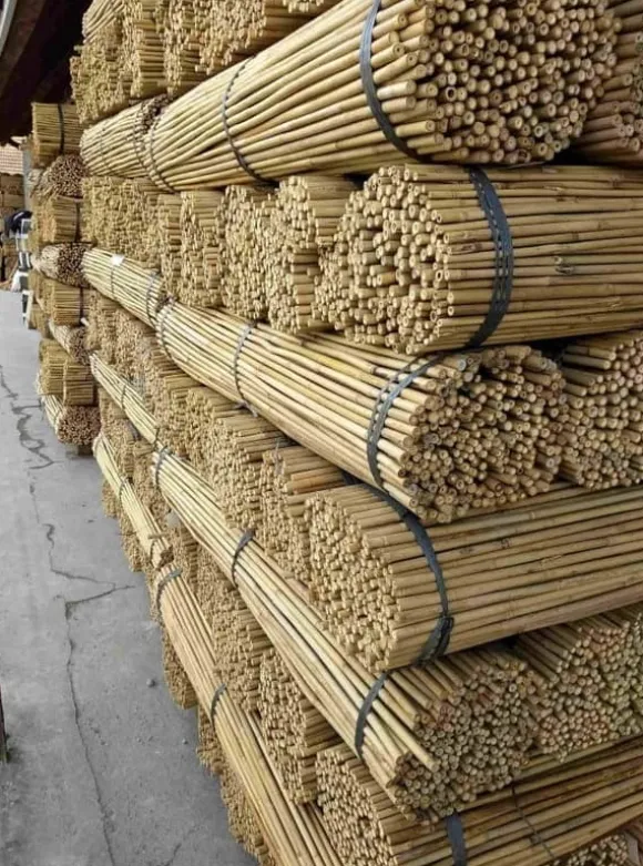 Bambupålar, bambustänger 120 cm 10/12 mm 100 st/