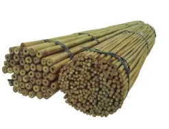 Bambupålar, bambustänger 194 cm 18/20 mm 100 st/