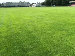 Barenbrug Emerald Grass för torra områden vatten 1kg