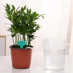 Bevattningssnöre 5mm 10m av polyester och bomull