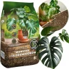BIGOS jord för monsteror och philodendron BIOVITA 8l