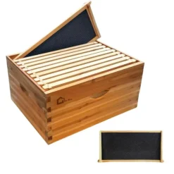 Bikupa Djup Bottenlåda, 10 Ramars Kapacitet, Furu Konstruktionsmaterial, Vaxbelagd för Väderbeständighet, Kompatibel med Langstroth-system