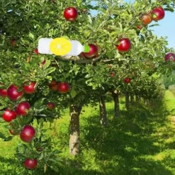 Binor för att fånga bin - Jshuomall - 5 st - Gul - Hållbar - Återanvändbar