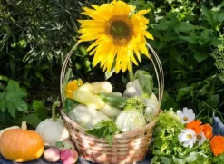 BIOHUMUS UNIVERSALGÖDSEL 0,75L AGRECOL